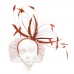 Headband with feathers "Salute"