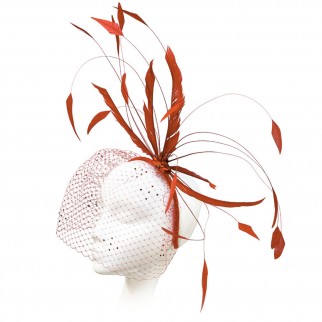 Headband with feathers "Salute"