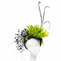 the black rim yellow