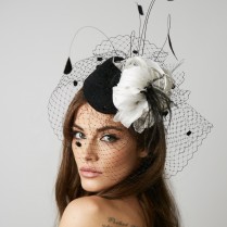 Veil with feather decor