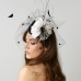 Veil with feather decor