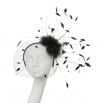 Headband with feathers and veil