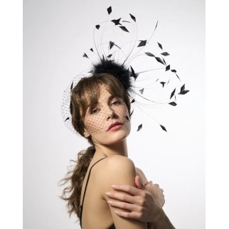 Headband with feathers and veil