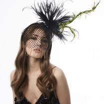 Veil with feather decor