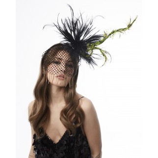 Veil with feather decor