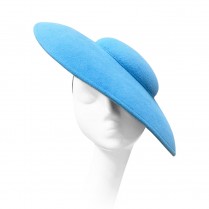 Plate hat