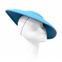 Plate hat